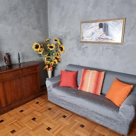 Al Salice Tranquillita Nel Verde Via Amendola 24 Apartment Busto Arsizio Luaran gambar